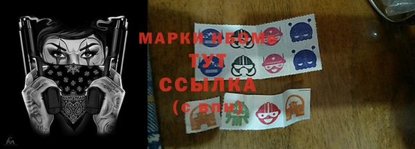 mdma Богородицк