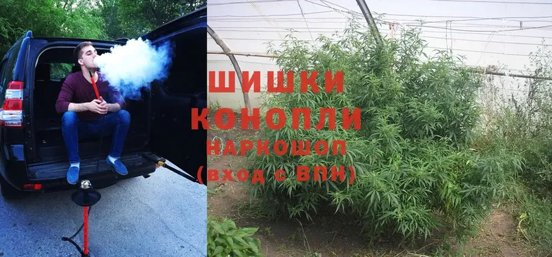 Бошки марихуана OG Kush  OMG как войти  Оленегорск 